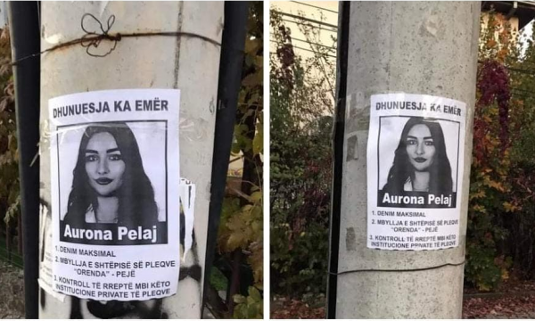 Posterë me fotografinë e Aurona Pelajt, Rrusta e PSD-së kundër: Ky është persekutim