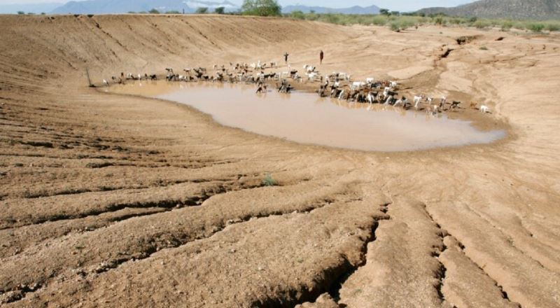 Të gjitha rajonet në botë janë përballur me mot ekstrem këtë vit