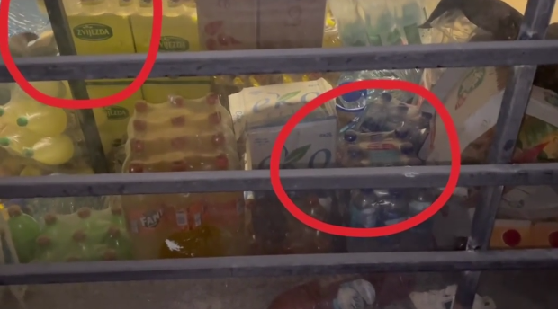 Prezenca e minjeve ne depon e ketij Supermarketi (Video)