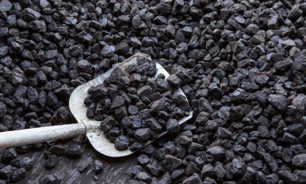 Kosova fle në thëngjill, por importon nga jashtë