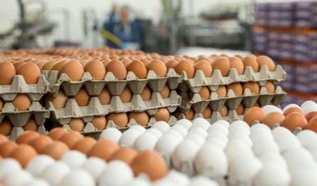 Vazhdon rritja e çmimeve, shtrenjtohen vezët dhe sheqeri në Kosovë