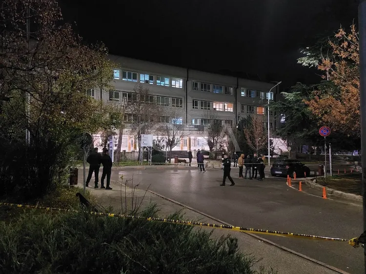 Reagimet e opozitës për vrasjen e gruas shtatzënë