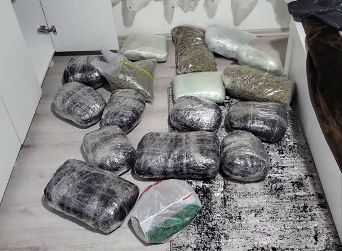 Policia kap 19 kg marihuanë në Prizren, arrestohet një person