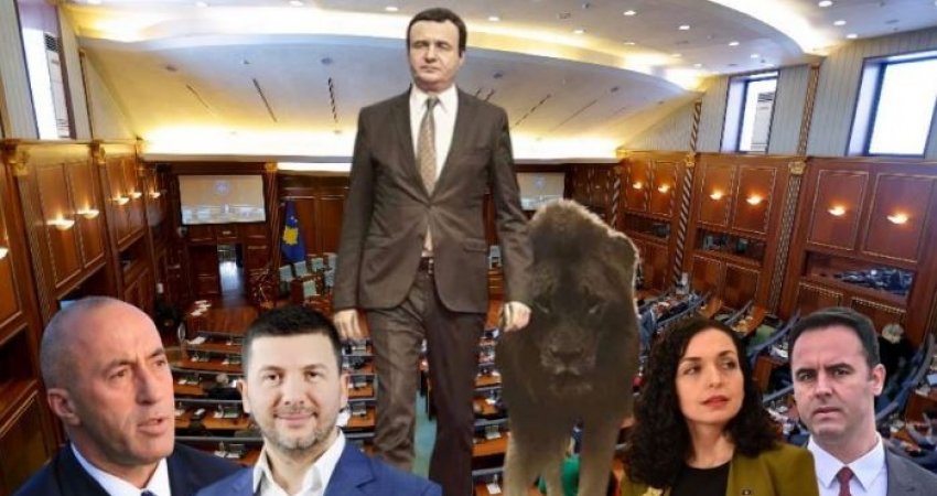 ‘Albin luani’, ‘Memli gjinekolog’, ‘Vjosa kryeministre’ – Ja çka kërkojnë qytetarët në Facebook për politikanët kosovarë