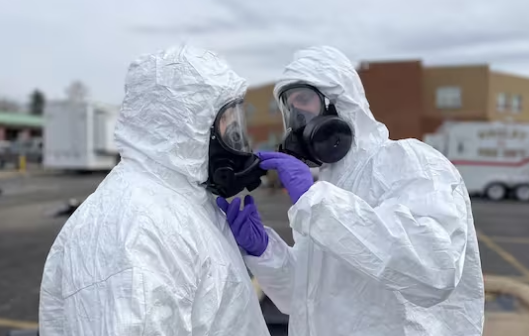 Cila është arsyeja? Banorët e Palestinës gjejnë kafshë të ngordhura kudo