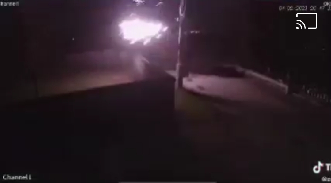  Lisi bie mbi shtyllën elektrike (Video)