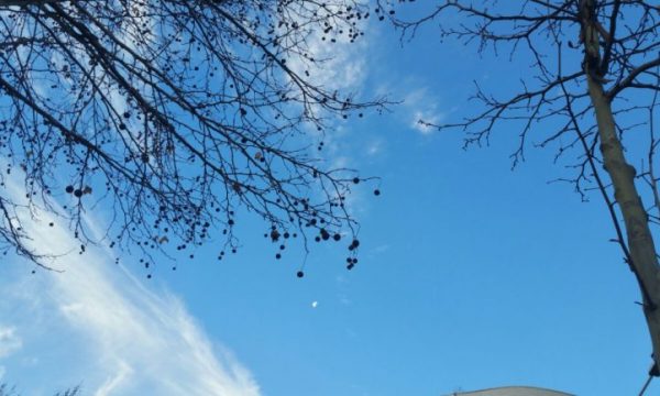 Parashikimi i motit për këtë fundjavë dhe ditët e para të javës së ardhshme