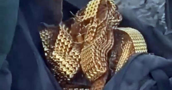 “Një rrip ka vlerë 10 mijë dollarë”, nxirret nga rrënojat në Turqi çanta plot me zinxhirë floriri