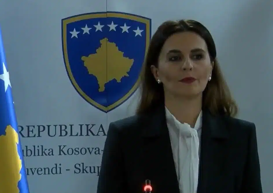 Çitaku: Kurti dhe Bislmi ndoshta e kanë pranuar planin franko-gjerman, jo Kosova