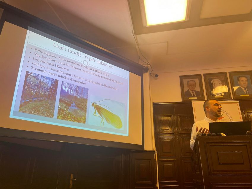 Profesori i Biologjisë prezanton llojin e ri të insektit nga Bjeshkët e Sharrit