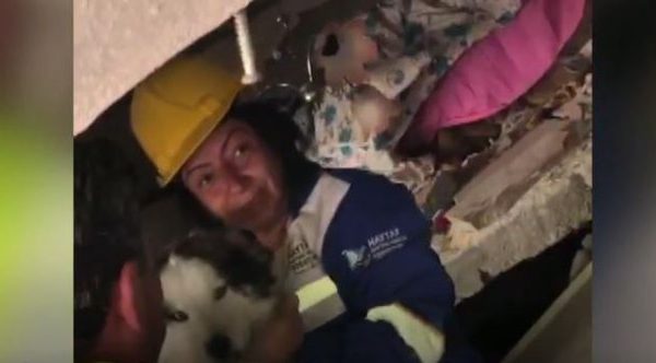 Tërmeti Turqi-Siri: Shpëtohet qeni pas 23 ditësh nën rrënoja