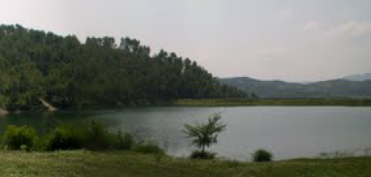 Një 4-vjeçar mbytet në liqen