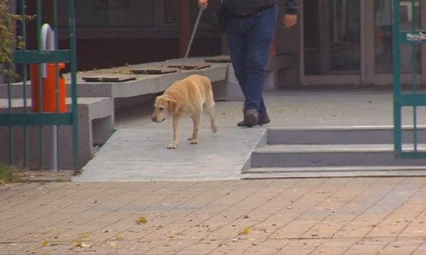 Alarmet për bomba në Maqedoni të Veriut, autoritetet: Hetimet çojnë në adresa në Rusi dhe Iran