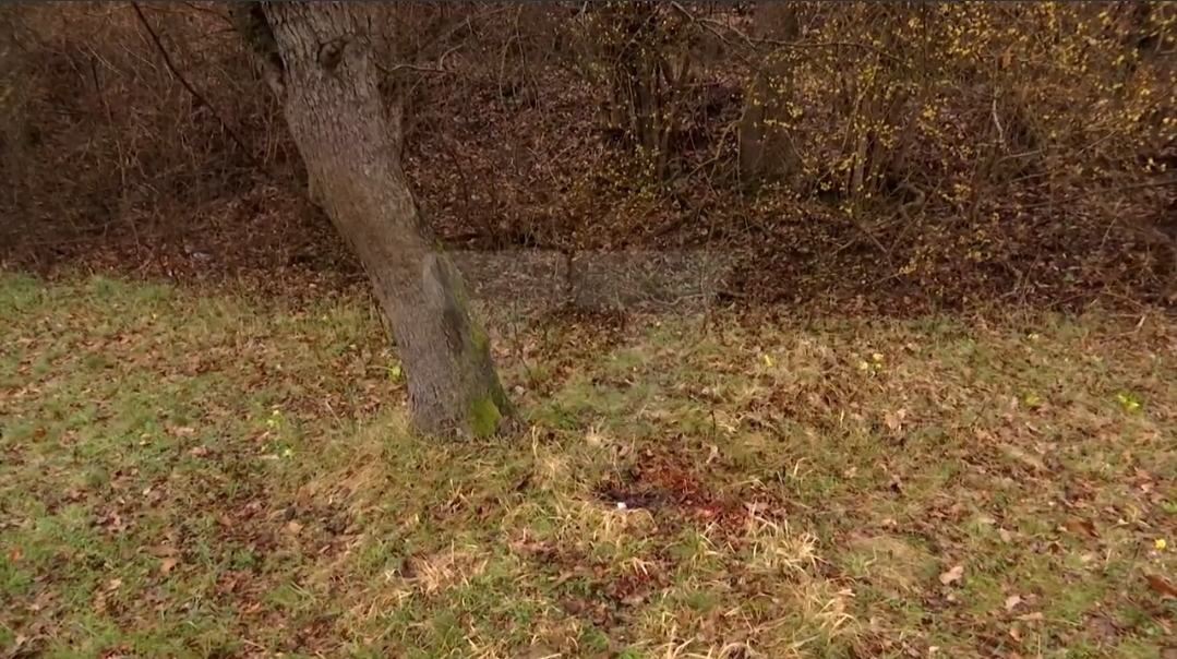 Vrasja në Podujevë, familjarët thonë se nuk ka lidhje me hakmarrje (Video)