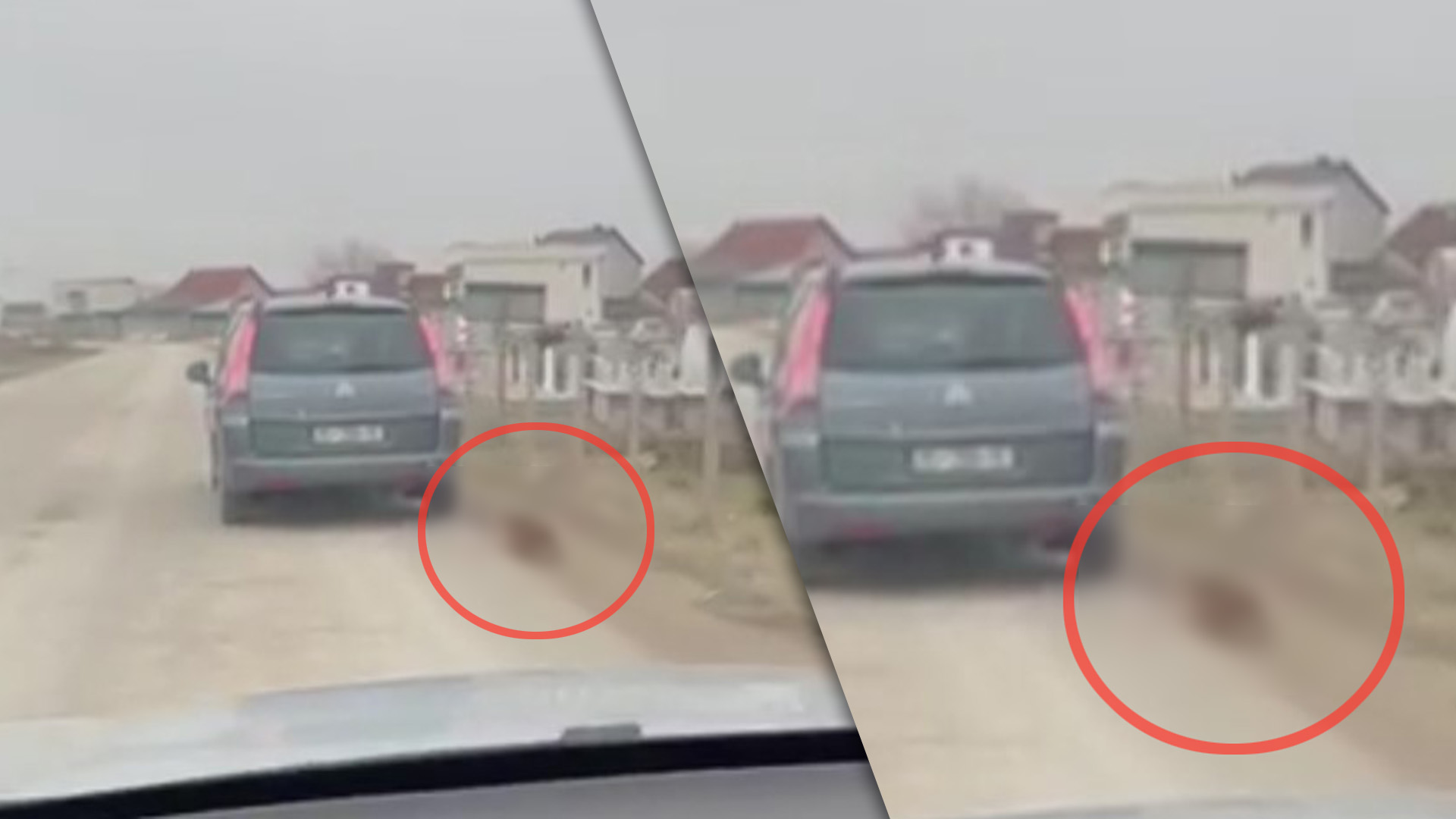 Shoferi në Shtime e lidh “bubin” për veture dhe e tërheq pas (VIDEO)