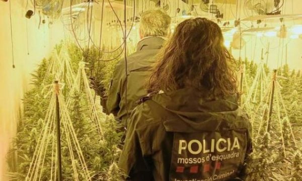 Shkatërrohet rrjeti kriminal i drogës në Spanjë, midis 20 të arrestuarve edhe shqiptarë