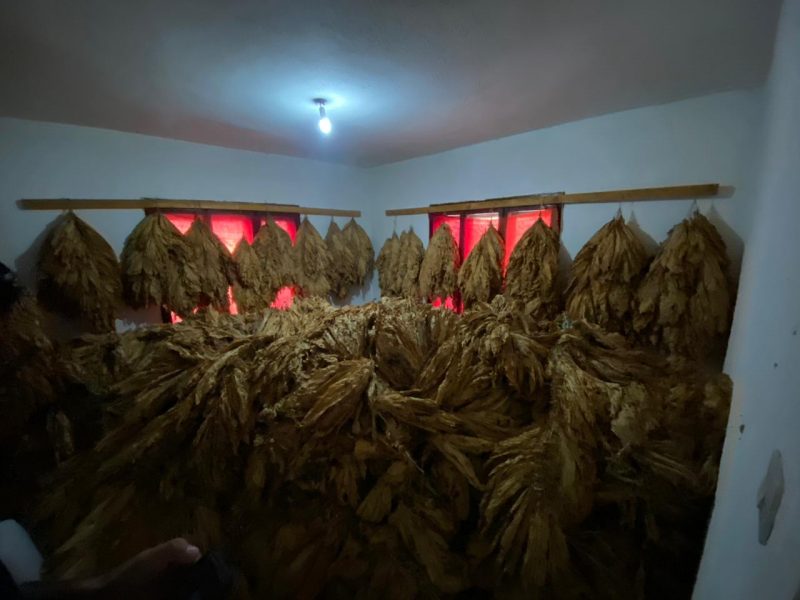 Zbulohen qindra kg duhan në rajonin e Vitisë, konfiskohet malli