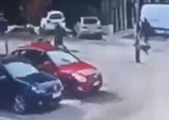 Një grua sulmohet nga qentë endacakë (Pamje)