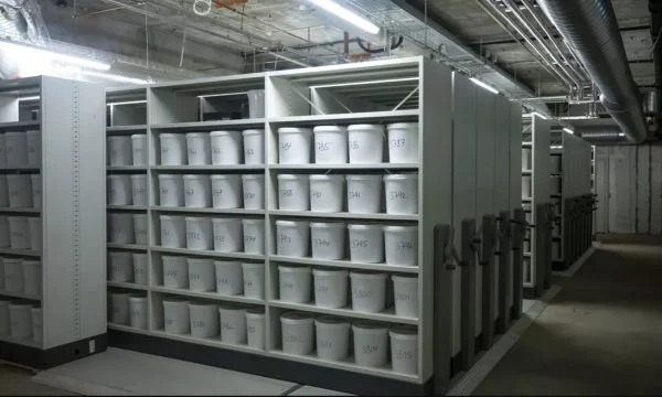 Arsyeja pse Danimarka mban 10.000 tru njerëzish në një bodrum