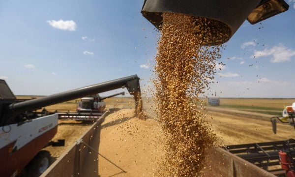 Rusia ende pa vendim për zgjatjen e marrëveshjes së drithërave