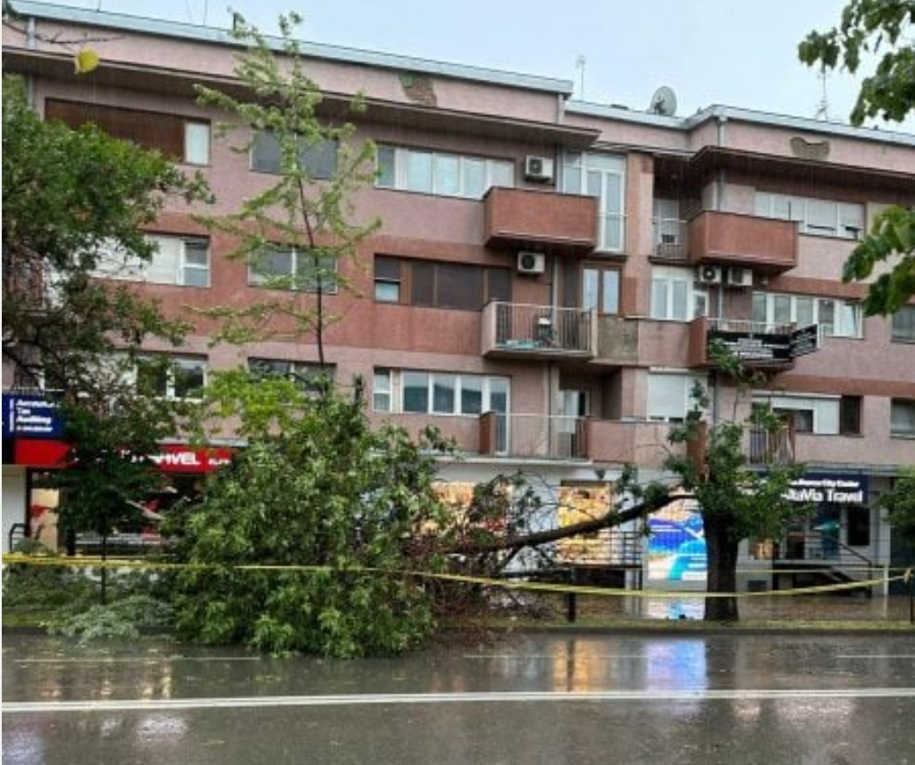 Erërat e forta rrëzojnë drunjtë përballë stacionit të policisë në Prishtinë, vendi rrethohet me shirita