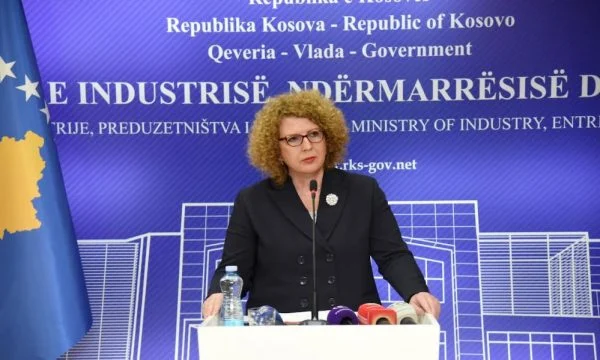 Arrestimet në MINT, Rozeta Hajdari thirr konferencë për media