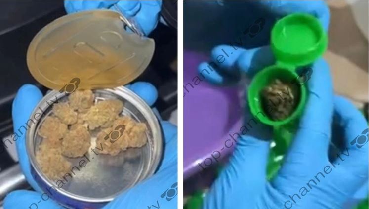 Droga në Shqipëri erdhi nga Kanadaja e fshehur në konservë peshku