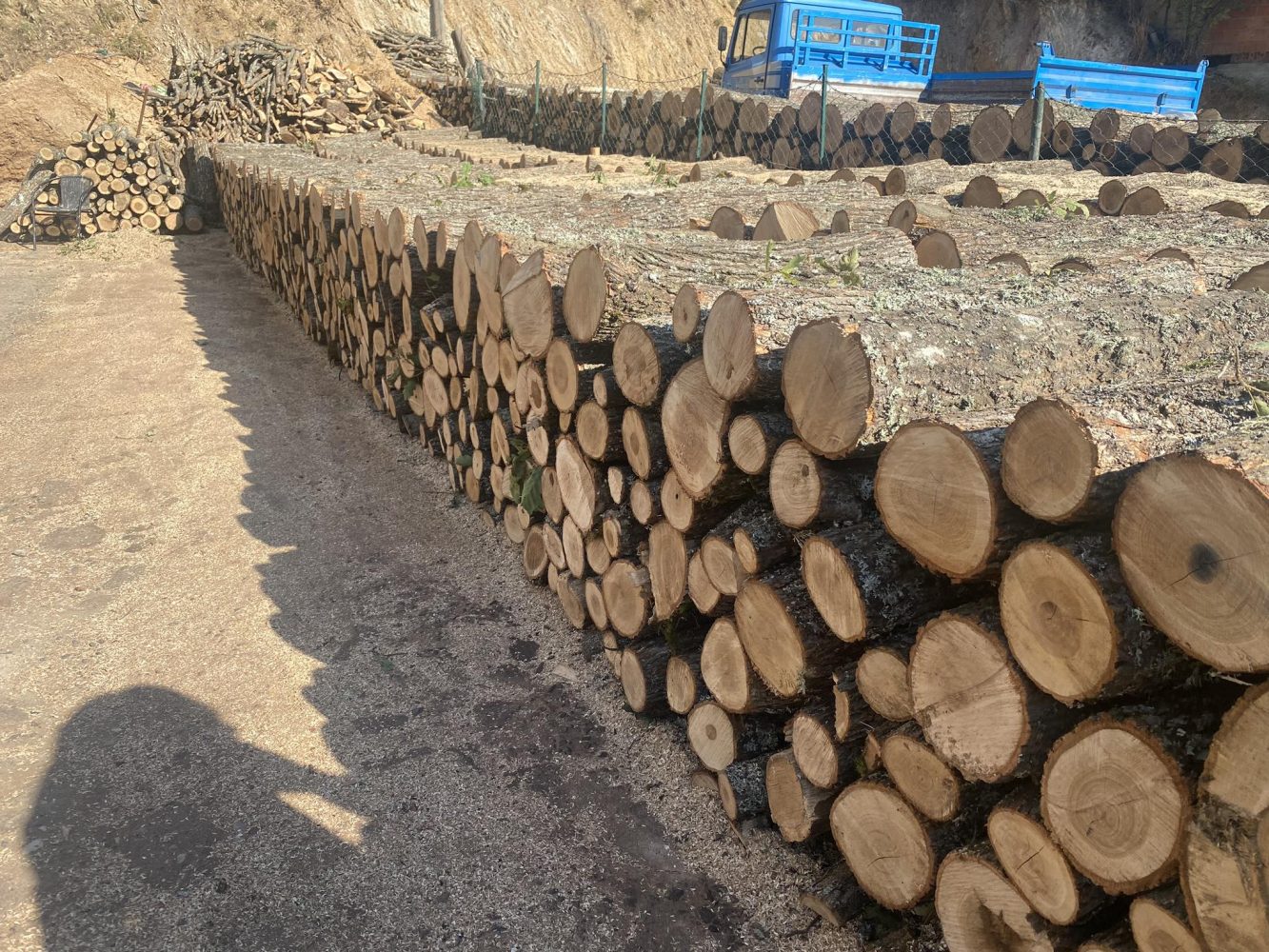 Deri në 70 euro një metër dru në Prishtinë, qytetarët druajnë për një dimër të vështirë