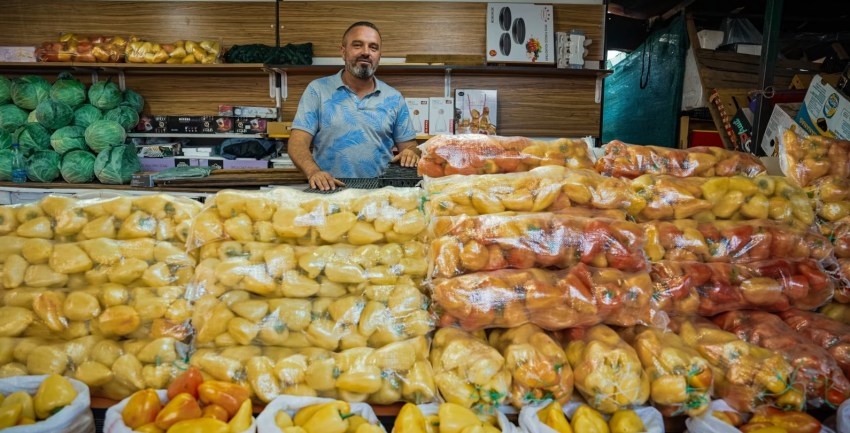 Perimet për turshi, “të paprekshme”, një kg speca tani po kushton deri në 1.5 euro
