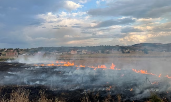 Mbi 2 mijë zjarre në dy muaj, shumica në ara – një 61-vjeçar dyshohet se vdiq derisa po shuante flakët