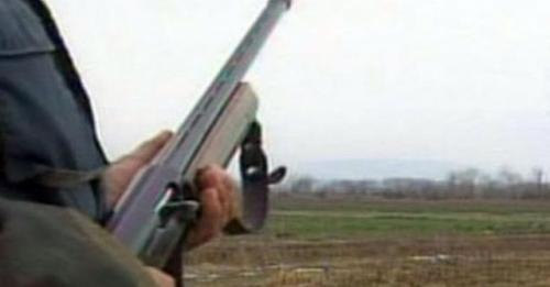 Ia vret qenin një gruaje në Klinë, arrestohet i dyshuari