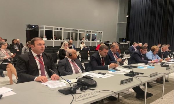 Sesioni i 69-të i NATO-s, edhe deputeti nga Podujeva pjesëmarrës në punime