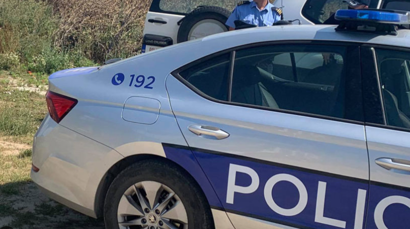 Policia e kap mat hajnin që kreu vjedhje në një hekurishte, ishte shtrirë në ara për t’u fshehur