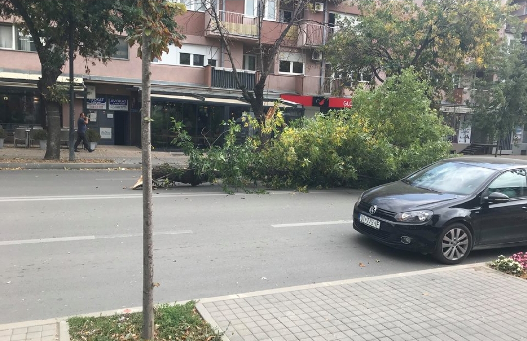 Sylë Tahirsylaj: Qytetarët të qëndrojnë në shtëpi, erërat janë të fuqishme