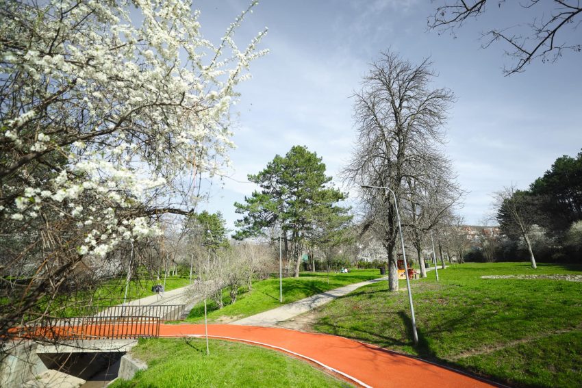 Rama publikon pamje nga parqet e kryeqytetit: Ejani dhe shijojeni këtë spektakël natyror