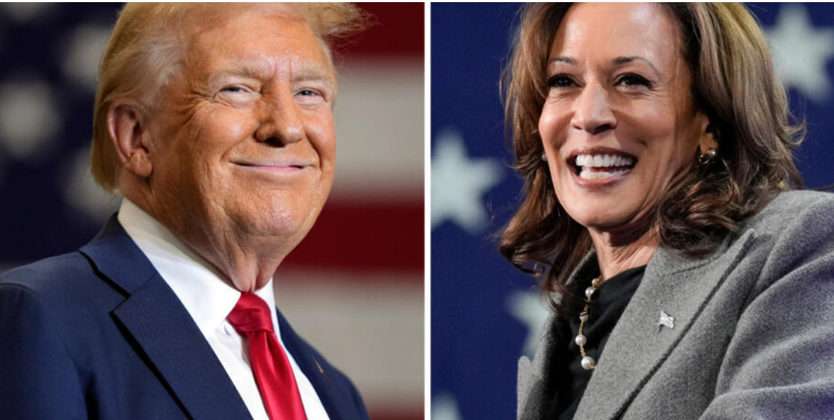 Shumë e ngushtë gara për president të ShBA, ja çka thonë sondazhet e fundit