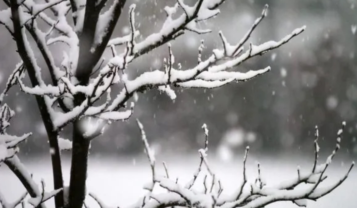 A do të ketë sërish borë? Ky është parashikimi i motit për ditët në vijim