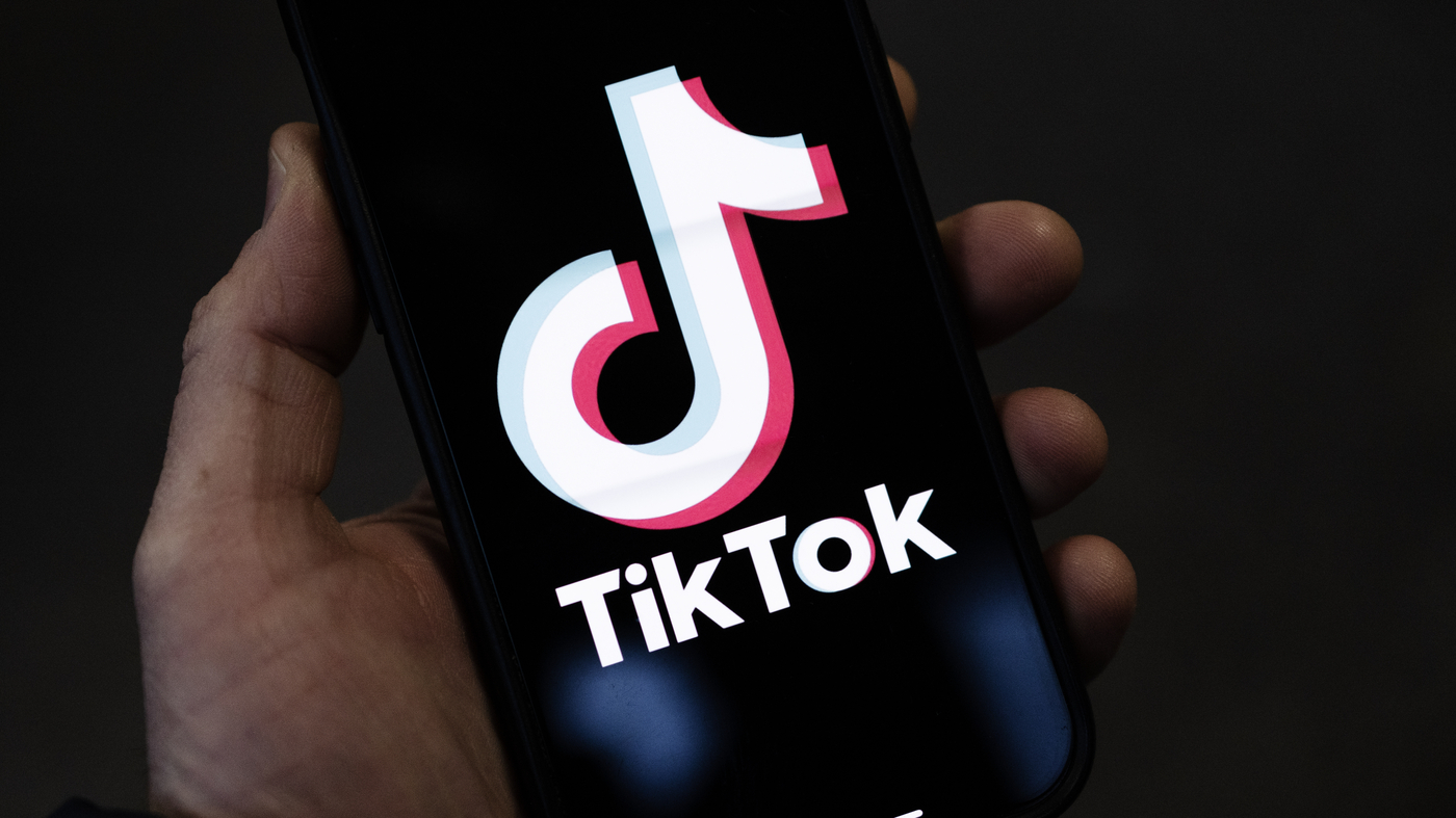 Sfidat e rrezikshme për fëmijë, Policia apel për kujdes në përdorimin e TikTok-ut