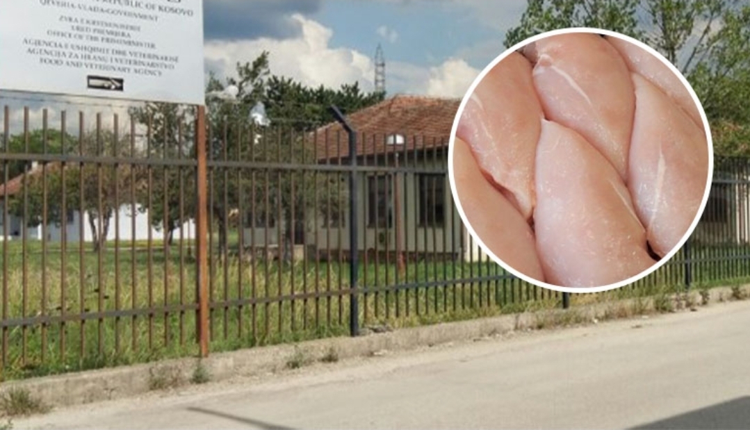 Kosova ndalon importin e mishit të pulës nga Brazili