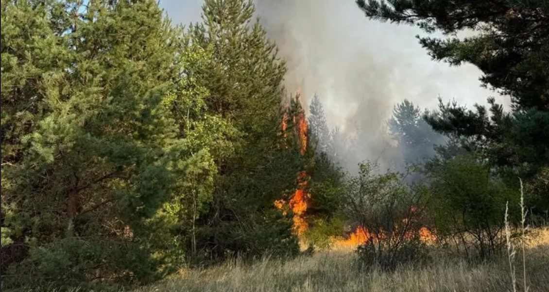 Policia identifikon të dyshuarin për zjarrin në Pakashticë, lirohet pasi mohon përfshirjen