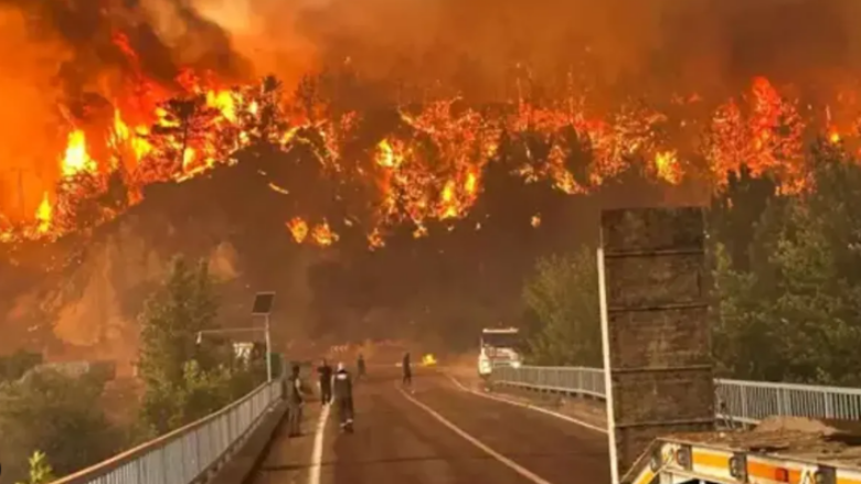 Tragjedi në Turqi, zjarri u merr jetën 11 punonjësve të pyjeve