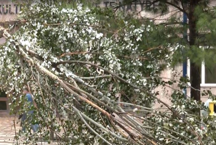 Stuhia e fuqishme, 20 persona në Tiranë kërkojnë ndihmë mjekësore