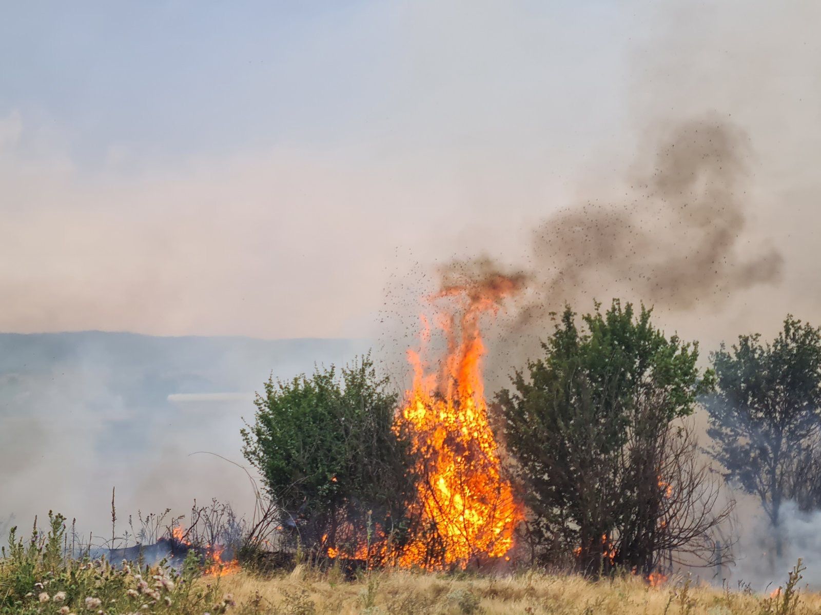 37 vatra zjarri të regjistruara sot në Kosovë, 18 ende aktive