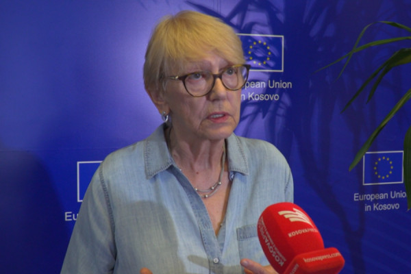 Biserko: Vuçiq po humb legjitimitetin, institucionet po ia kthejnë shpinën