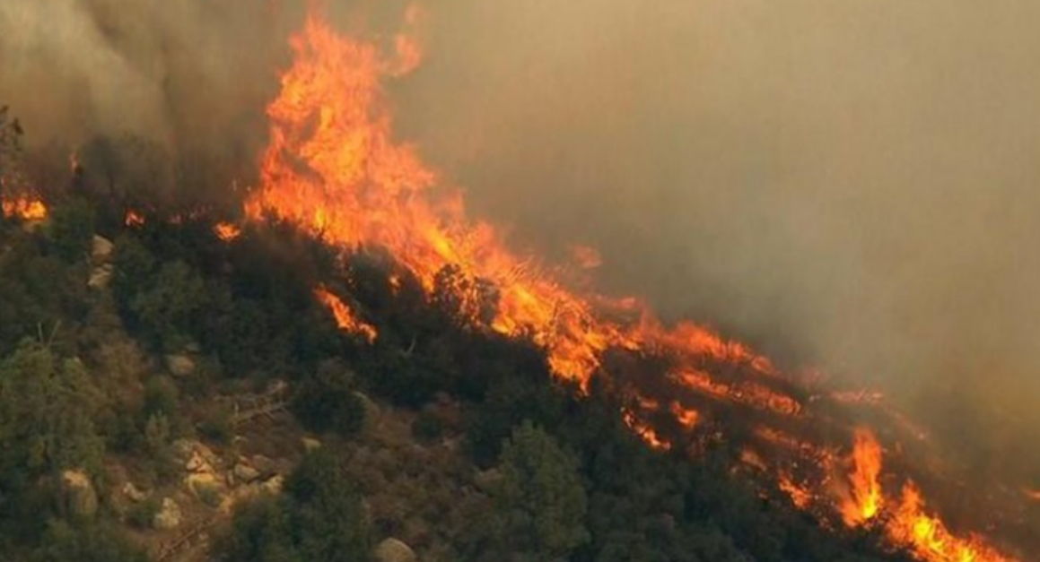 Digjen 13 hektarë mal e të mbjella, dyshohet se zjarri u vë qëllimisht