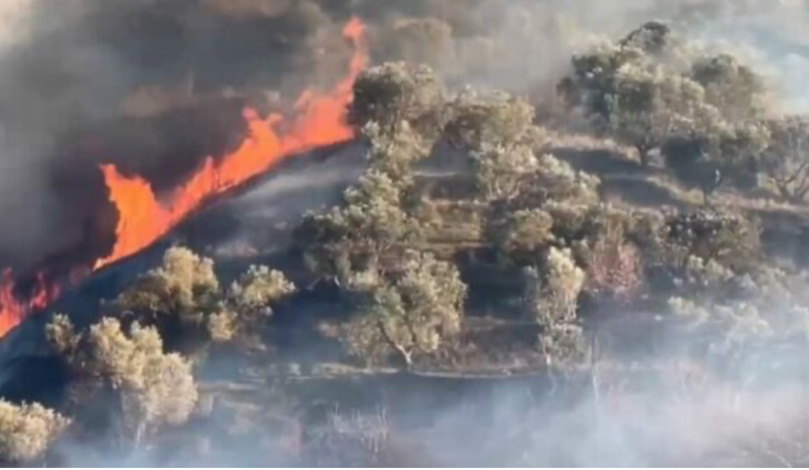 Kaos nga zjarri te Syri i Kaltër në jug të Shqipërisë, evakuohen turistët