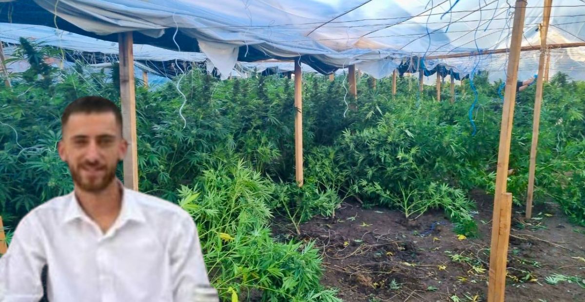 Kandidat i VV-së për asamble në Novobërdë rrezikon një muaj paraburgim pas arrestimit për kanabis