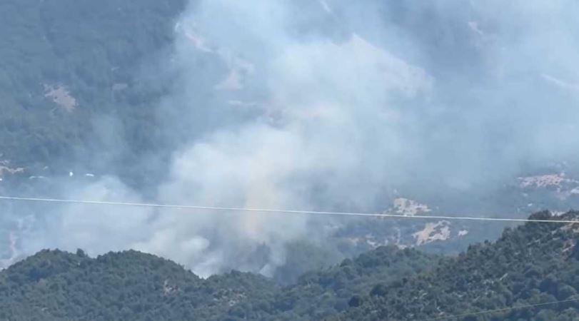 Zjarri përfshin malin në Bolenë, helikopterët ndërhyjnë për të mbrojtur fshatin