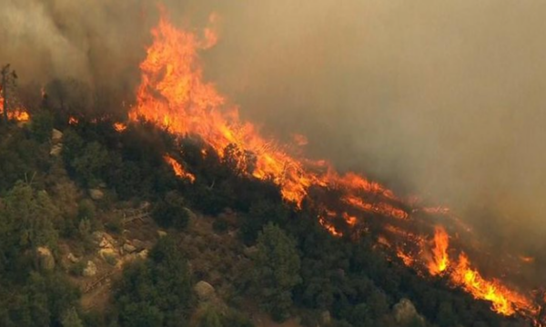 Zjarret në Gramsh, konfirmohet viktima e parë në Shqipëri