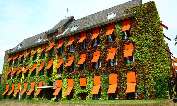 Veseli, Krasniqi dhe Selimi kishin hequr dorë nga shqyrtimi periodik i paraburgimit deri në vendimin e Apelit për ankesën për lirim të përkohshëm